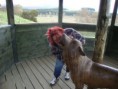 /album/fenykepgaleria/wildpark-051-jpg/